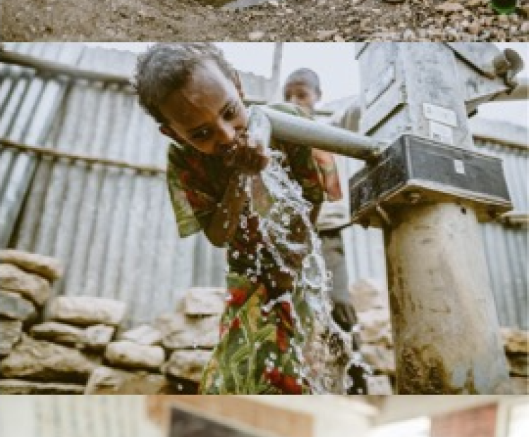 Weihnachtsgrüße 2021